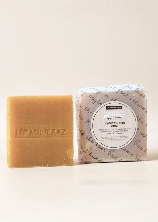 Savon à l’argousier